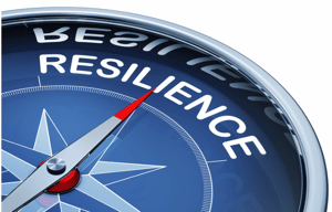 resilience in safety management compass